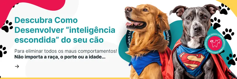 Arte 44 — Édipo Tolentino: Eventos e mentorias
